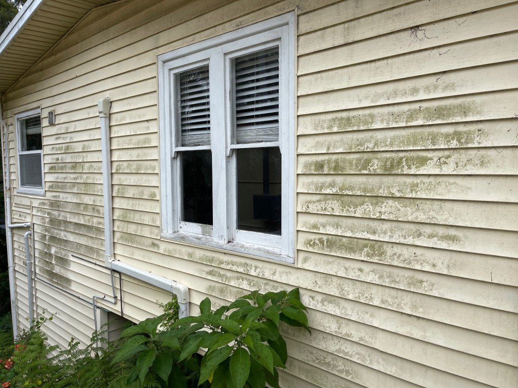 House-Washing-Central-Coast-Before