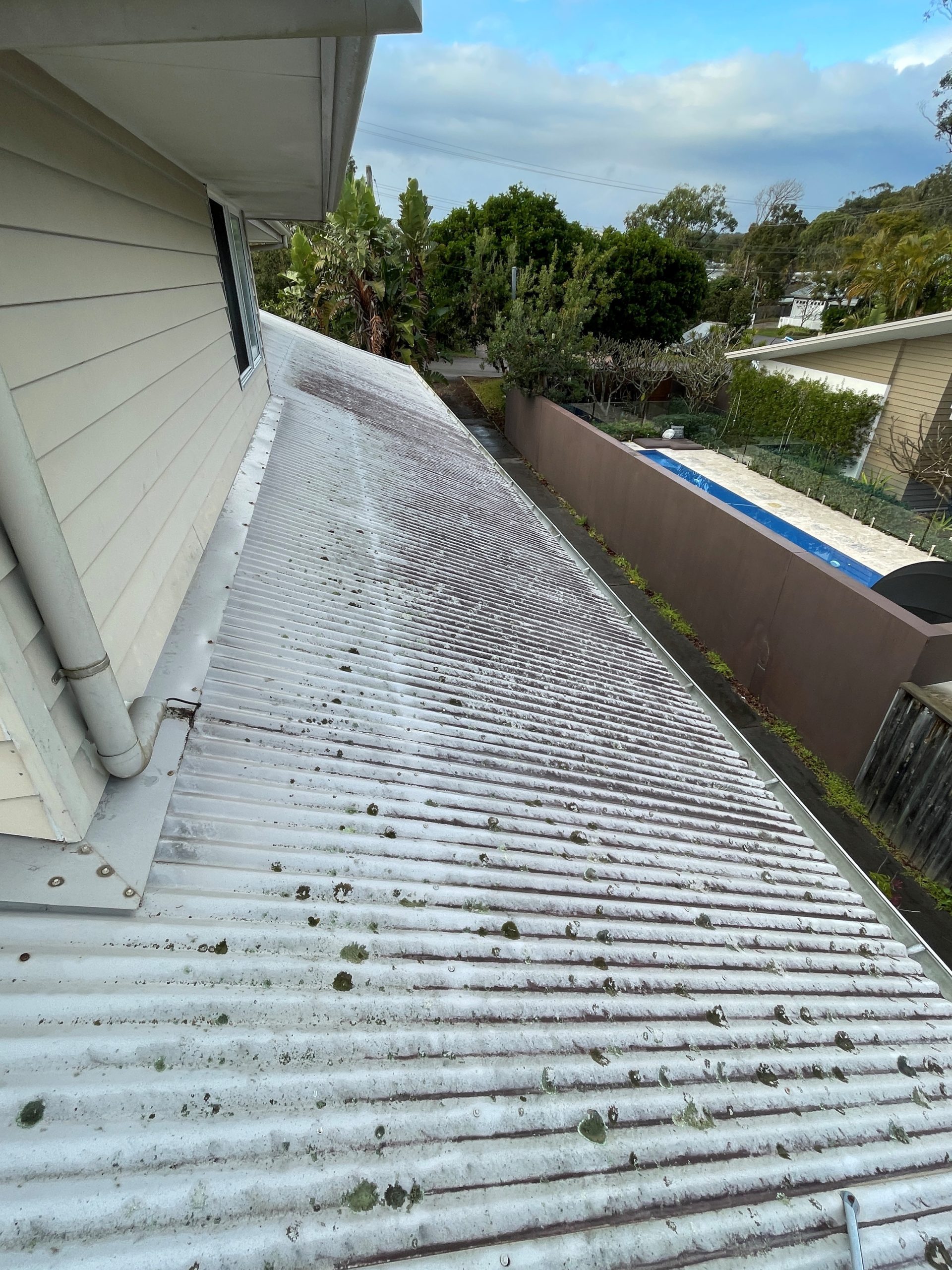 roof-cleaning-central-coast-before