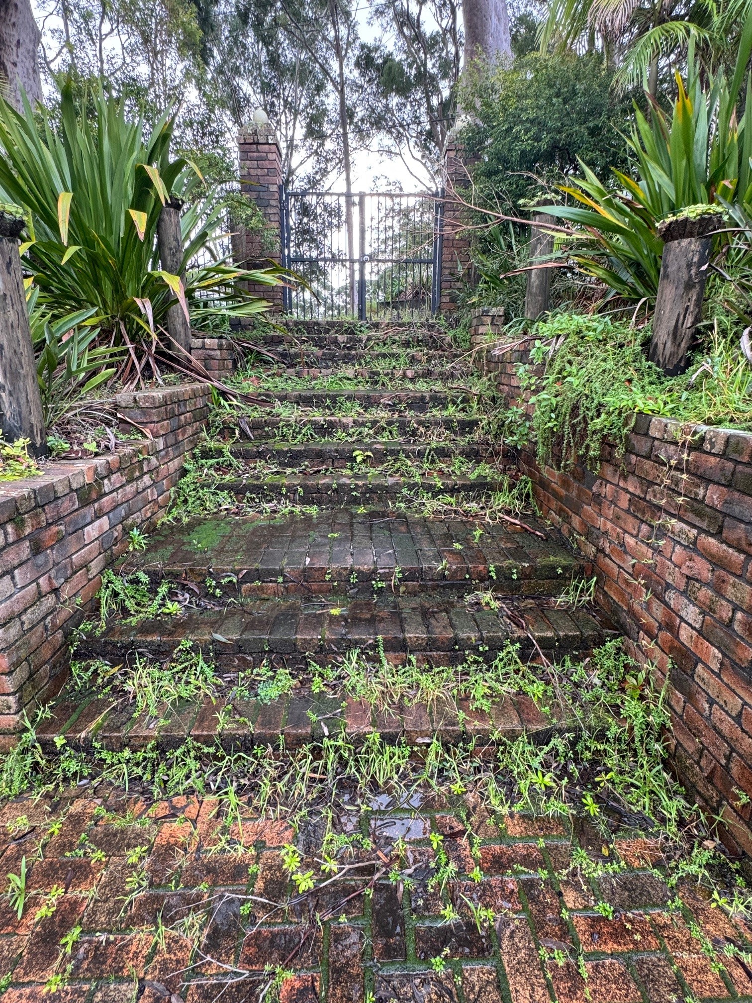 Pressure-Cleaning-Central-Coast-Before