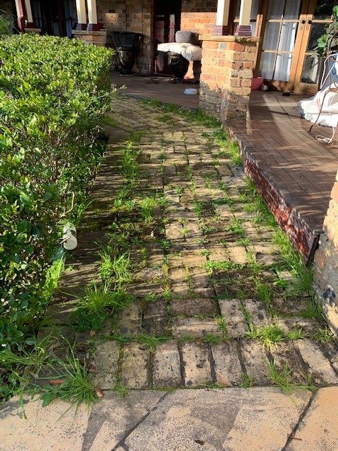 Paver-Cleaning-Central-Coast-Before