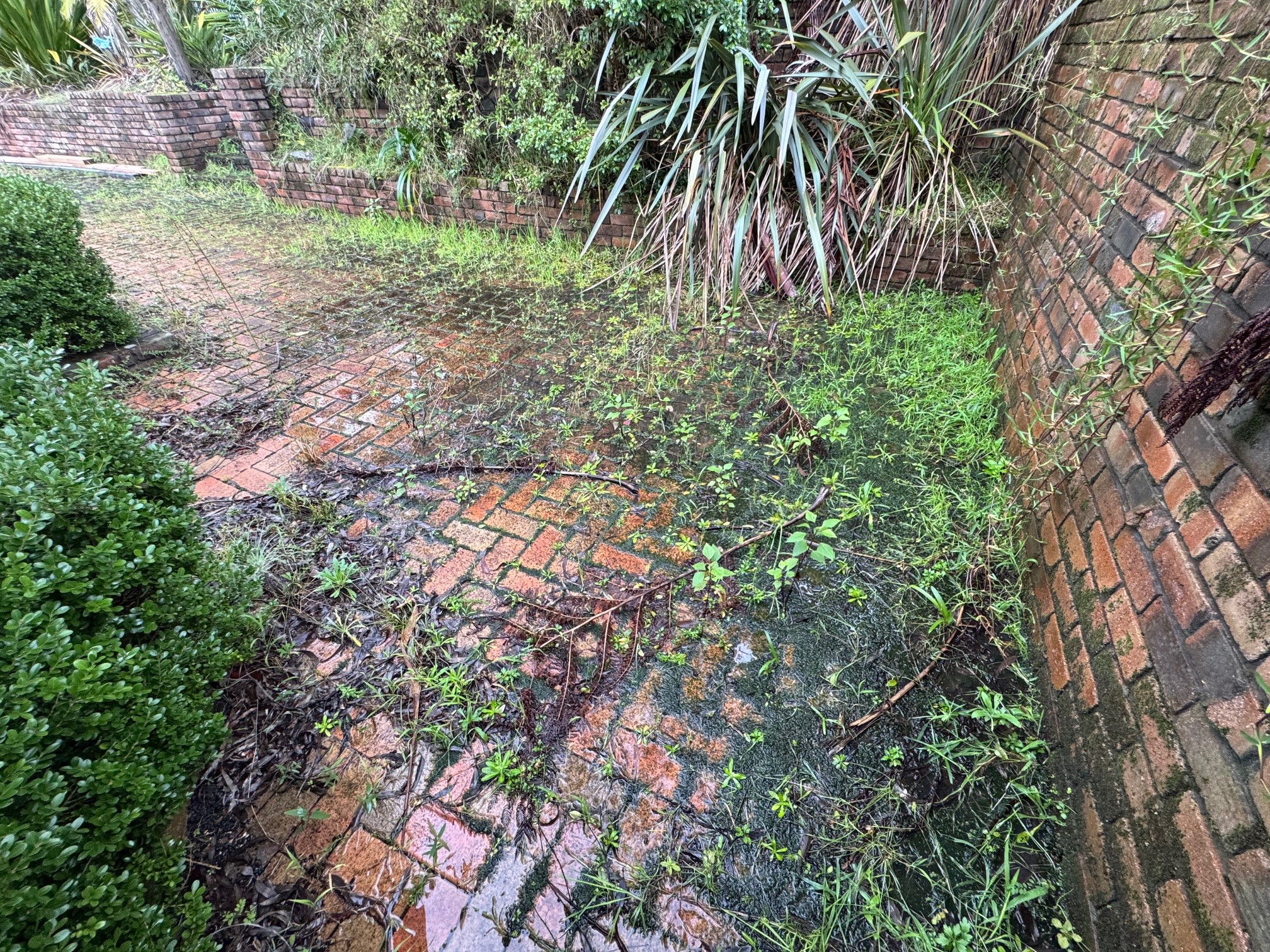 Paver-Cleaning-Central-Coast-Before