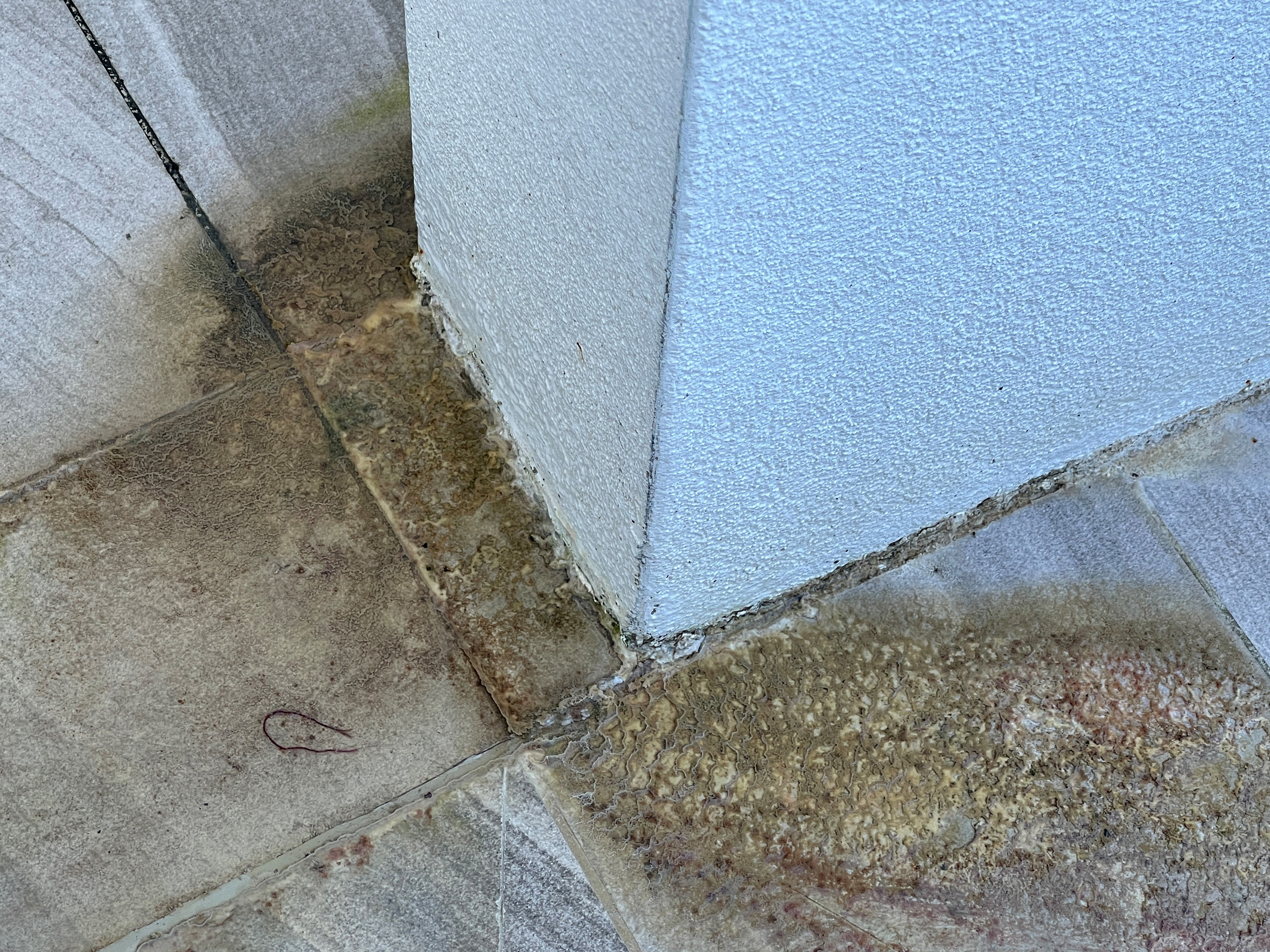 Efflorescence-Removal-Services-Before