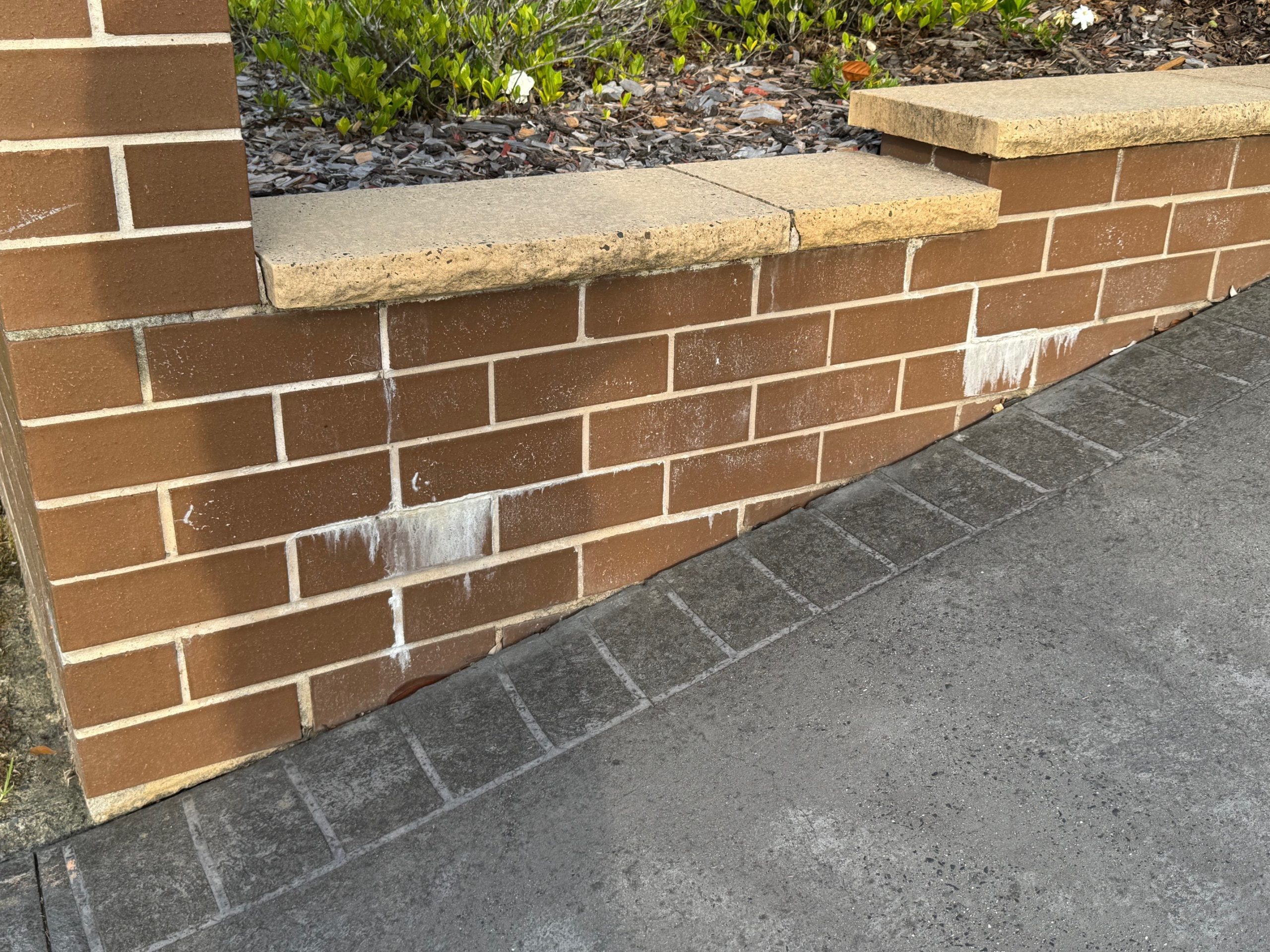 Efflorescence-Removal-Services-Before