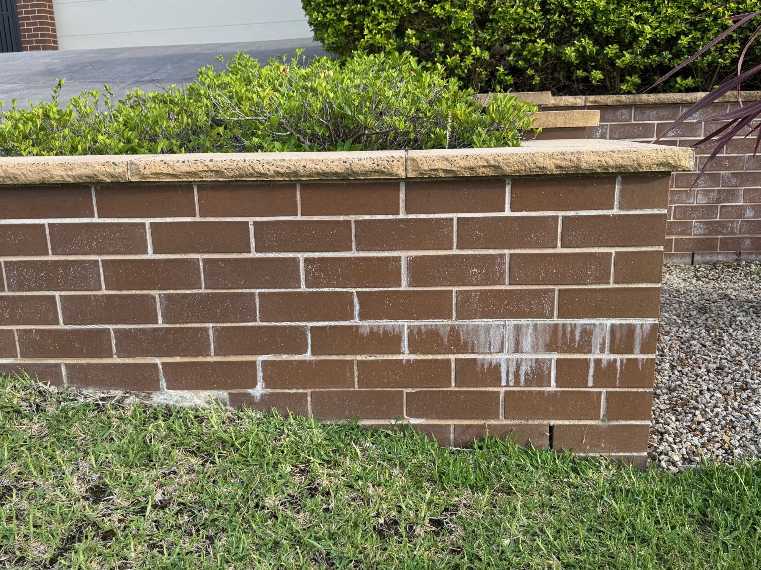 Efflorescence-Removal-Services-Before