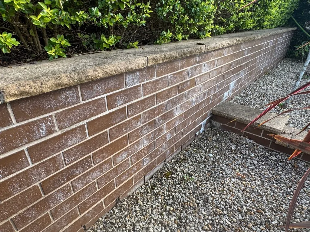 Efflorescence Removal